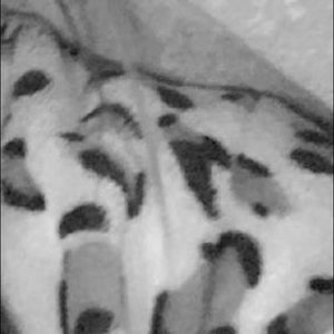 Meet your Posher, Chloe